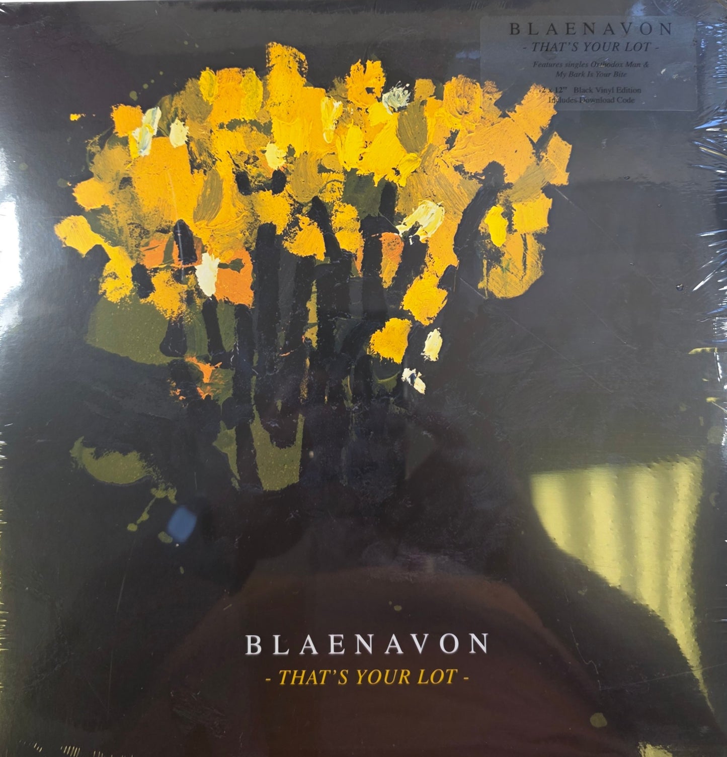 Blaenavon That's Your Lot Vinyl LP Black