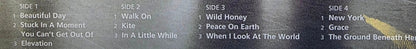 U2 All That You Can't Leave Behind Vinyl LP