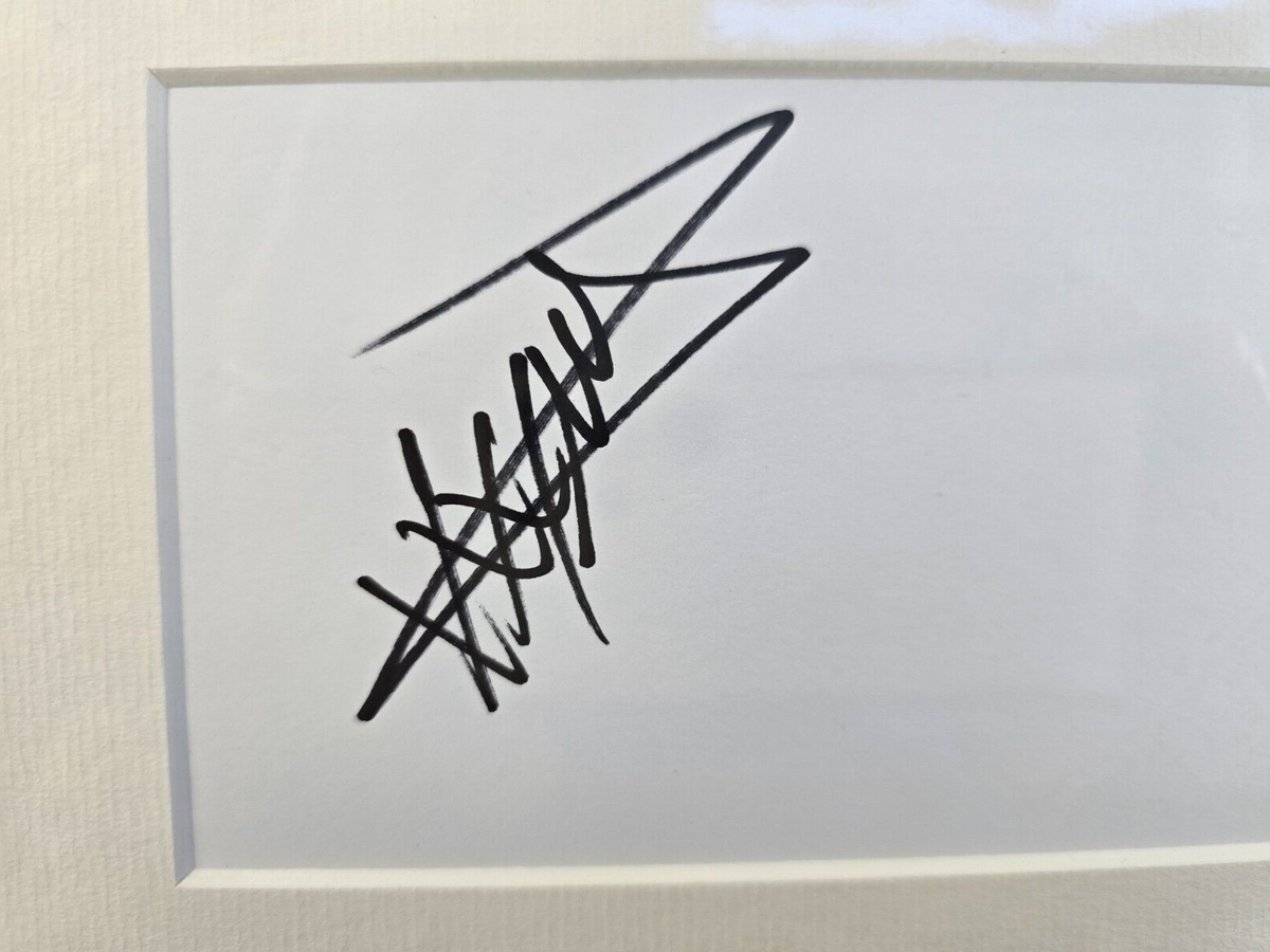 Taylor Momson Pretty Reckless  HAND SIGNED mounted autograph with cert 18 x 12"