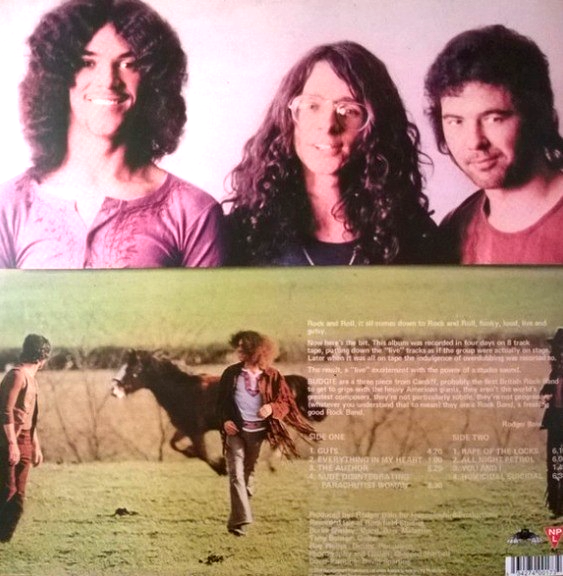 Budgie Budgie LP Album Vinyl Record remastered on Noteworthy Productions 2020