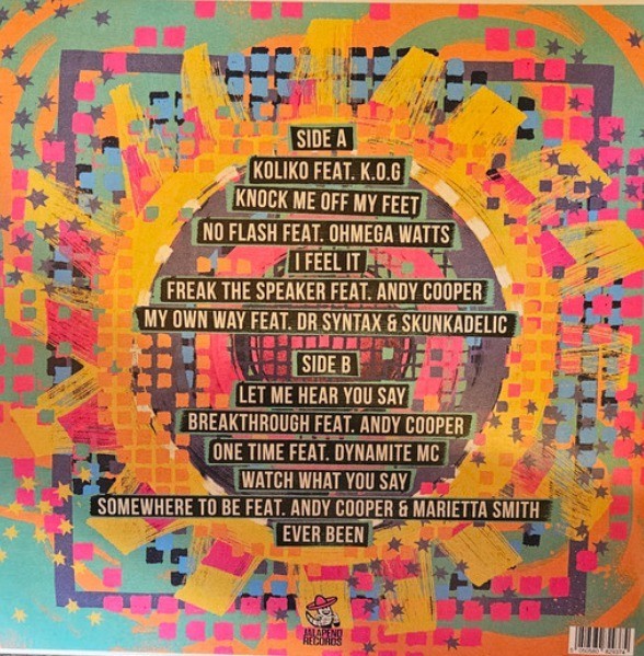 The Allergies Freak The Speaker LP Album vinyl record 2024 on Jalapeno Records