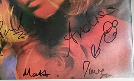 The Darling Buds Signed presentation A4 on glossy print Autograph