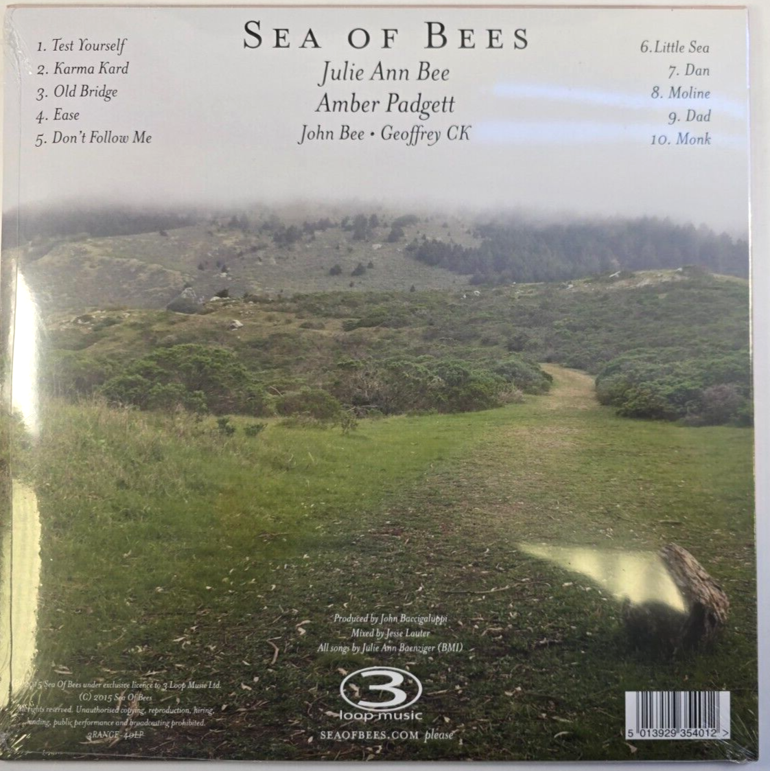 Sea Of Bees - Build A Boat To The Sun LP Album vinyl record 2015 indie rock