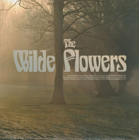 The Wilde Flowers The Wilde Flowers LP Album vinyl record remastered reissue