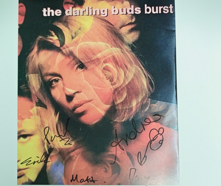The Darling Buds Signed presentation A4 on glossy print Autograph