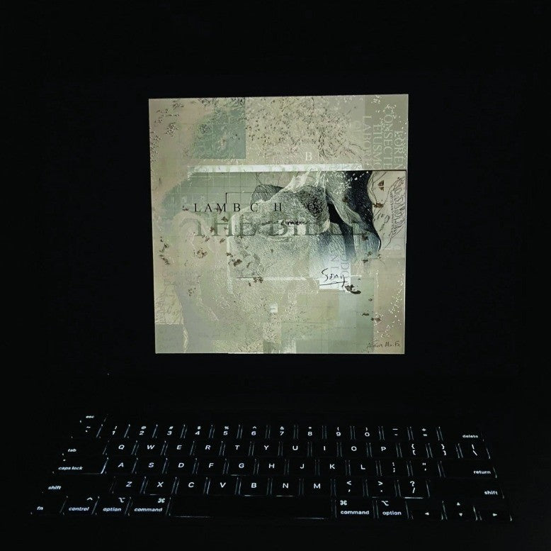 Lambchop The Bible LP Album vinyl record 2021 reissue