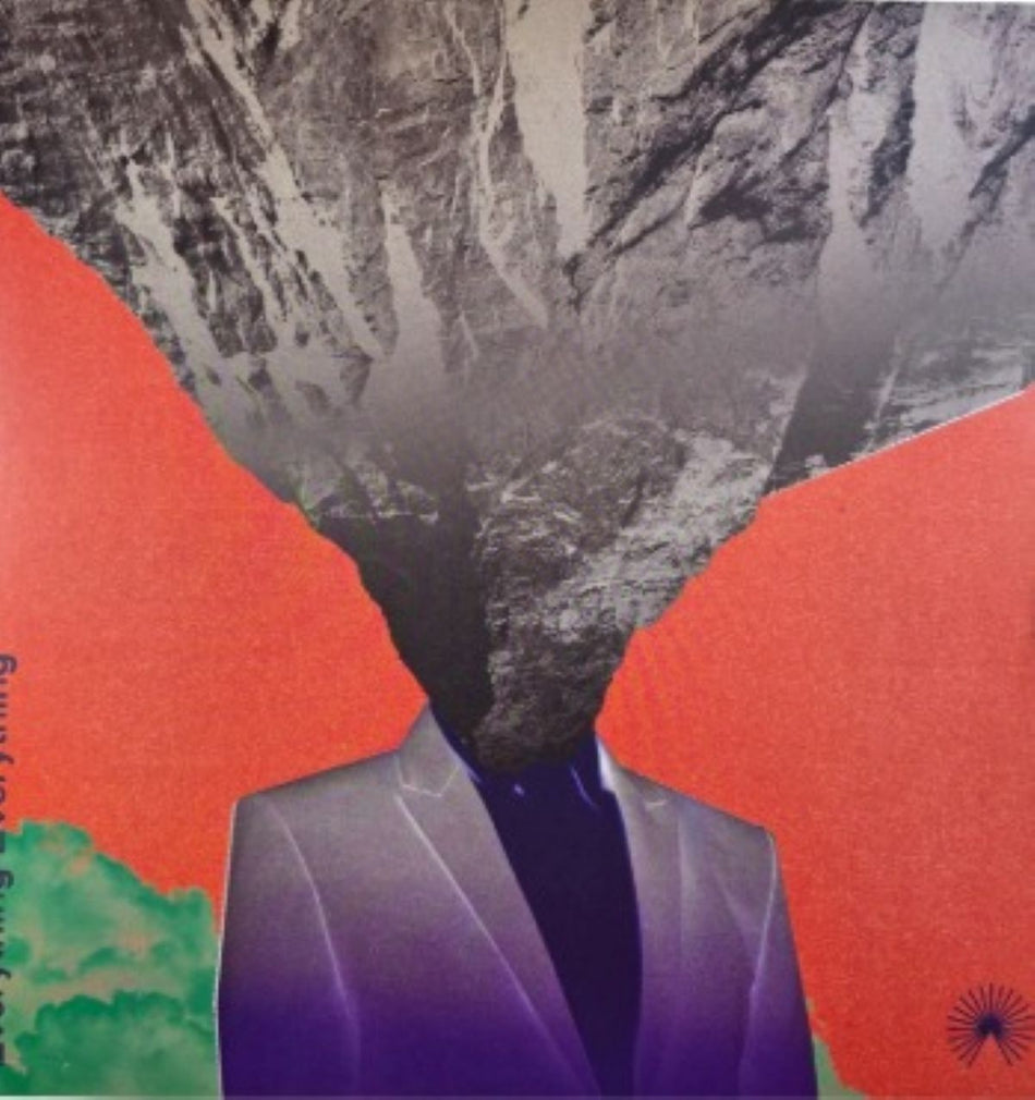 Everything Everything Mountainhead 2024 LP Album Vinyl Record on BMG