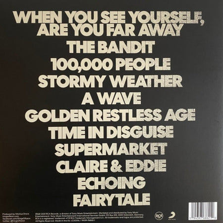 Kings of Leon : When You See Yourself 2 X LP Album vinyl record 2021