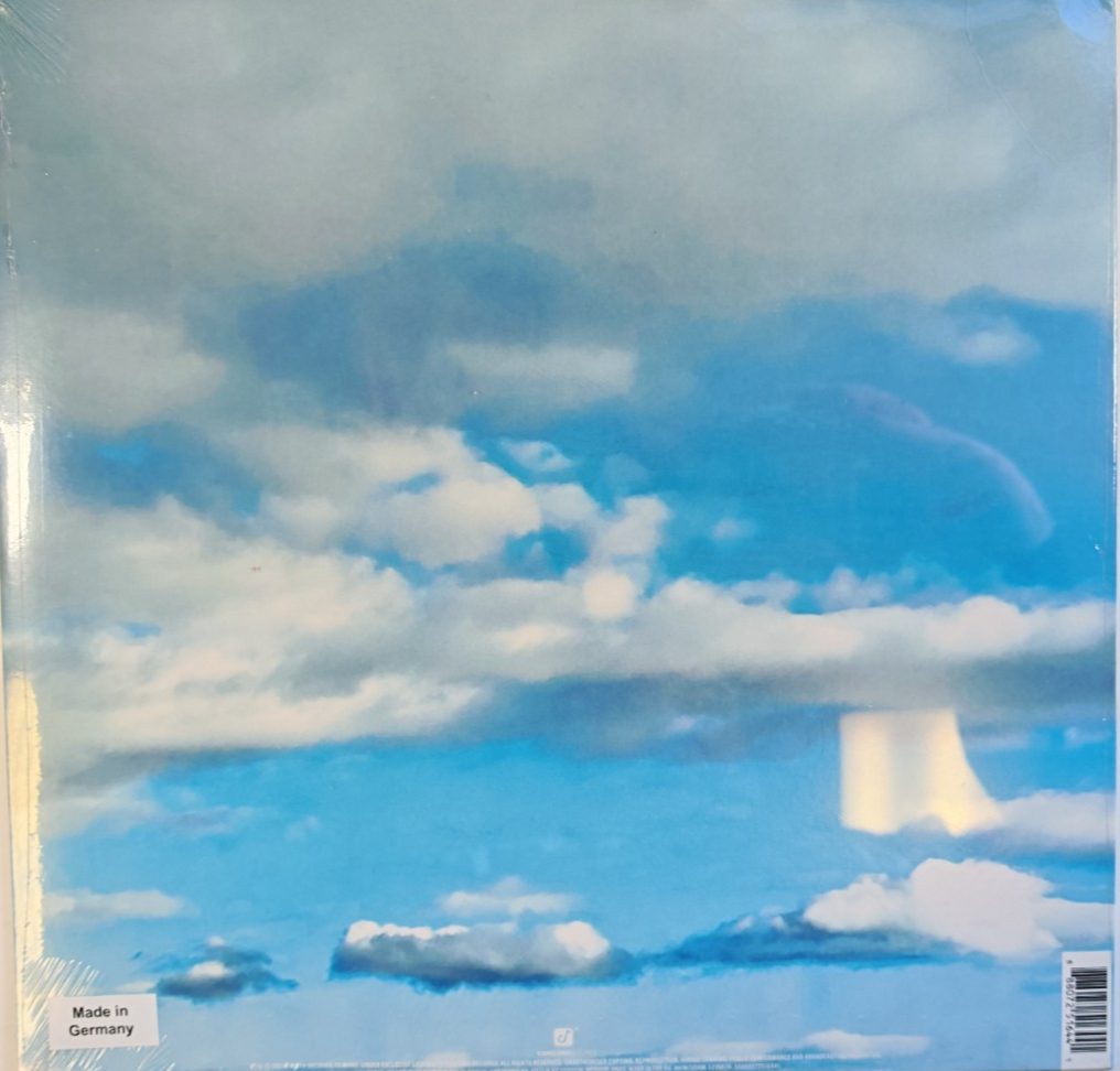 30 Seconds To Mars It's The End Of The World But It's A Beautiful Day LP Vinyl