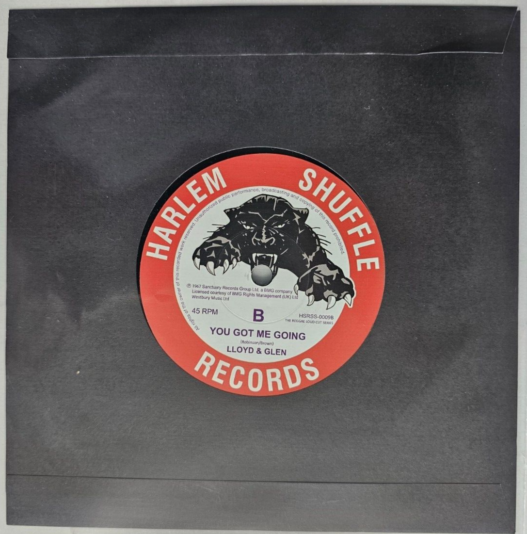 Lloyd & Glen – That Girl / You Got Me Going  7" vinyl record MINT 2021 reggae 