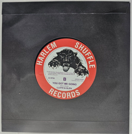 Lloyd & Glen – That Girl / You Got Me Going  7" vinyl record MINT 2021 reggae 