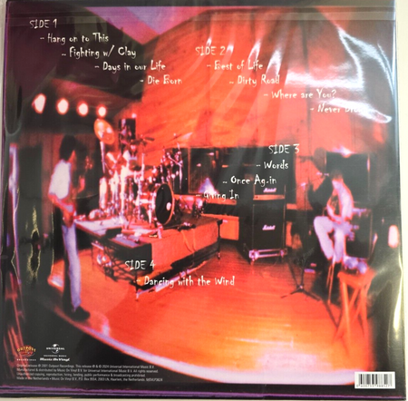 Days Of The New Days Of The New The Green Album LP Album vinyl record