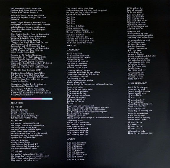 Orchestral Manoeuvres In The Dark Junk Culture LP Album vinyl record half speed