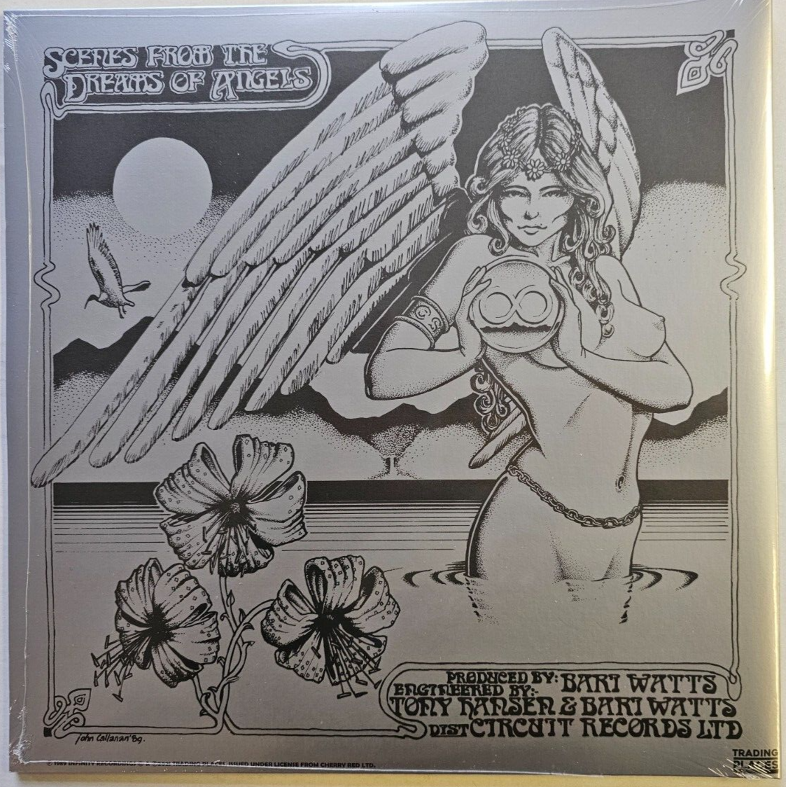 Various Scenes From The Dreams Of Angels LP Album vinyl record 2021 reissue rock