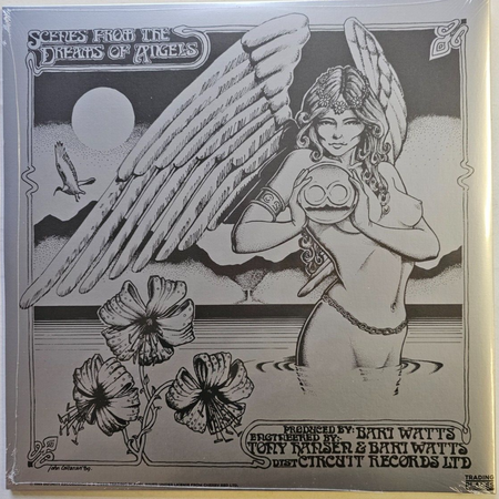 Various Scenes From The Dreams Of Angels LP Album vinyl record 2021 reissue rock