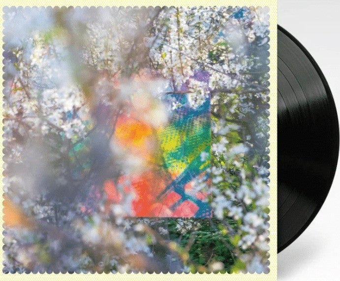 Four Tet Sixteen Oceans LP Album vinyl record remastered 2020 on Text records