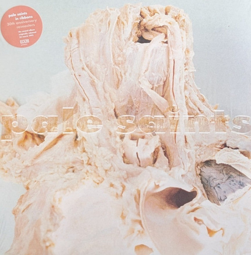 Pale Saints In Ribbon LP Album vinyl record 30th Anniversary Re:Masters 2023