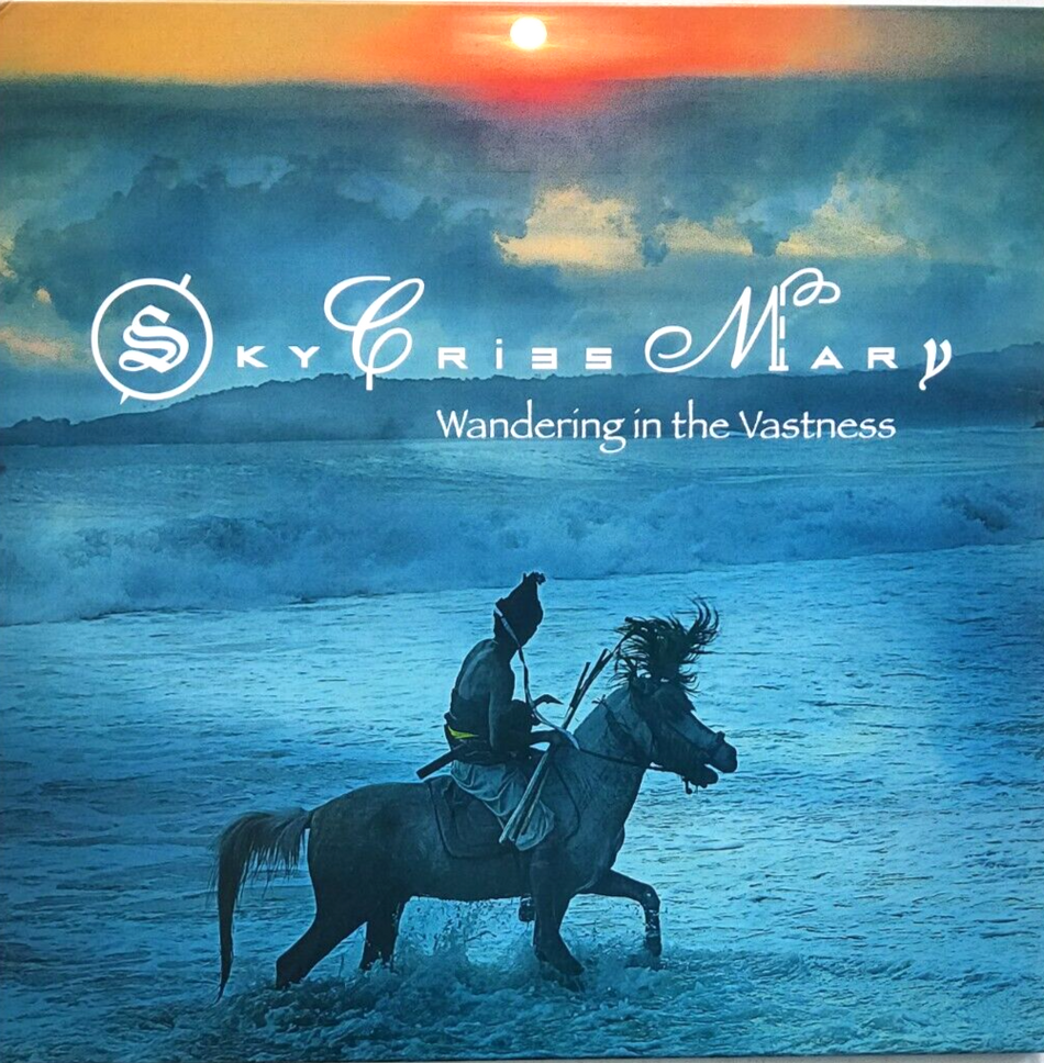Sky Cries Mary Wandering In The Vastness 2022 LP Album vinyl record NM 180Gram
