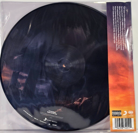 James Arthur It'll All Make Sense in the End 2 x LP Album record picture disc