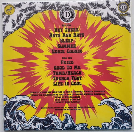 King Gizzard & The Lizard Wizard Teenage Gizzard 2021 LP Abum vinyl record