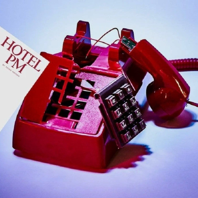 Peter Matson – Hotel PM LP Album Vinyl Record on Bastard Jazz 2025
