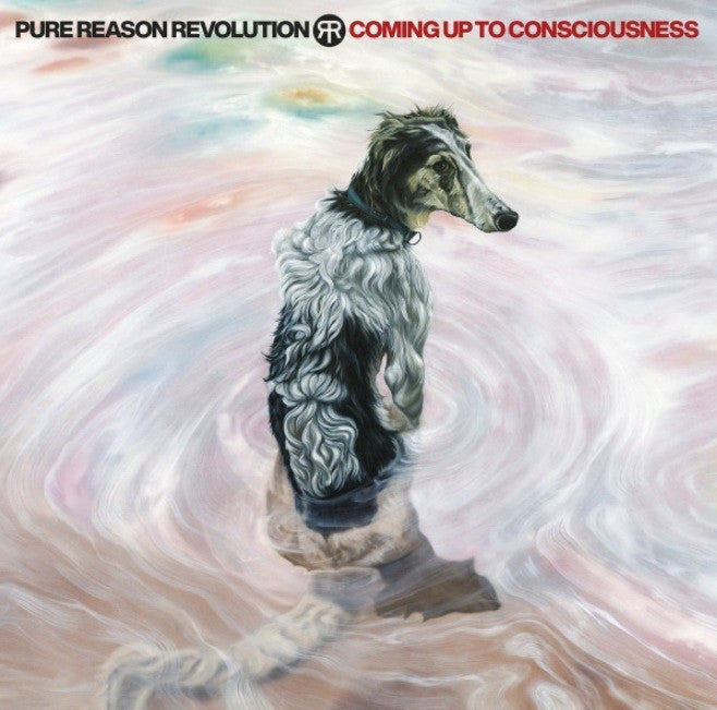 Pure Reason Revolution – Coming Up To Consciousness CD Album 2024 inside on out