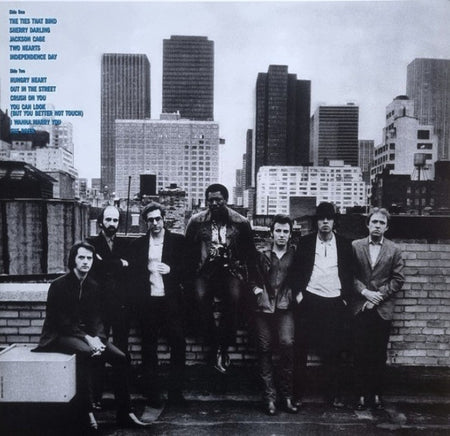 Bruce Springsteen The River LP Album vinyl record 2021 Remastered reissue 180g