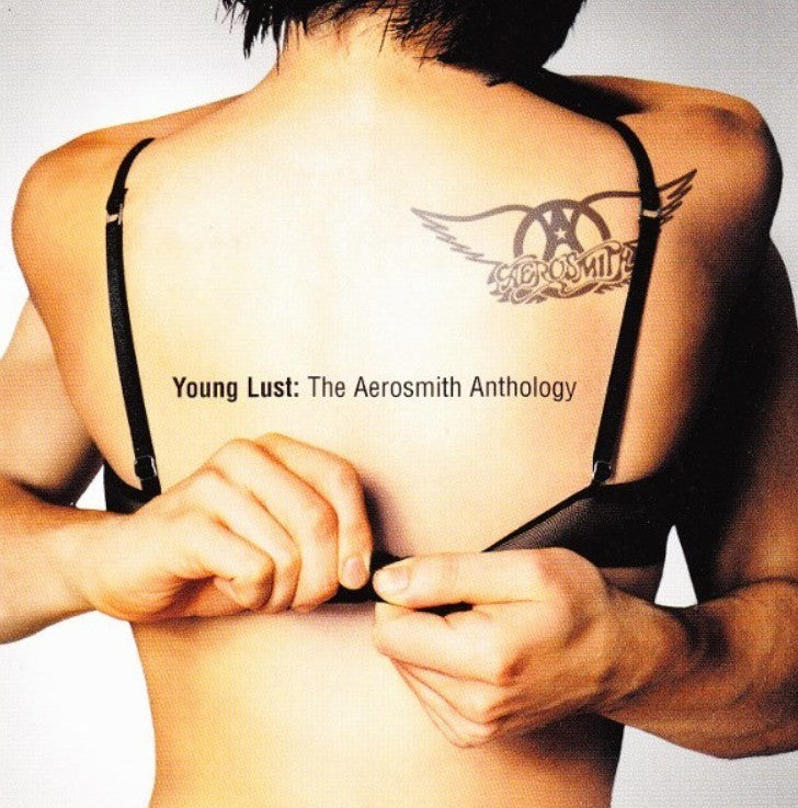 AerAerosmith – Young Lust: The Aerosmith Anthology 2 x CD Compilation NEW Rock