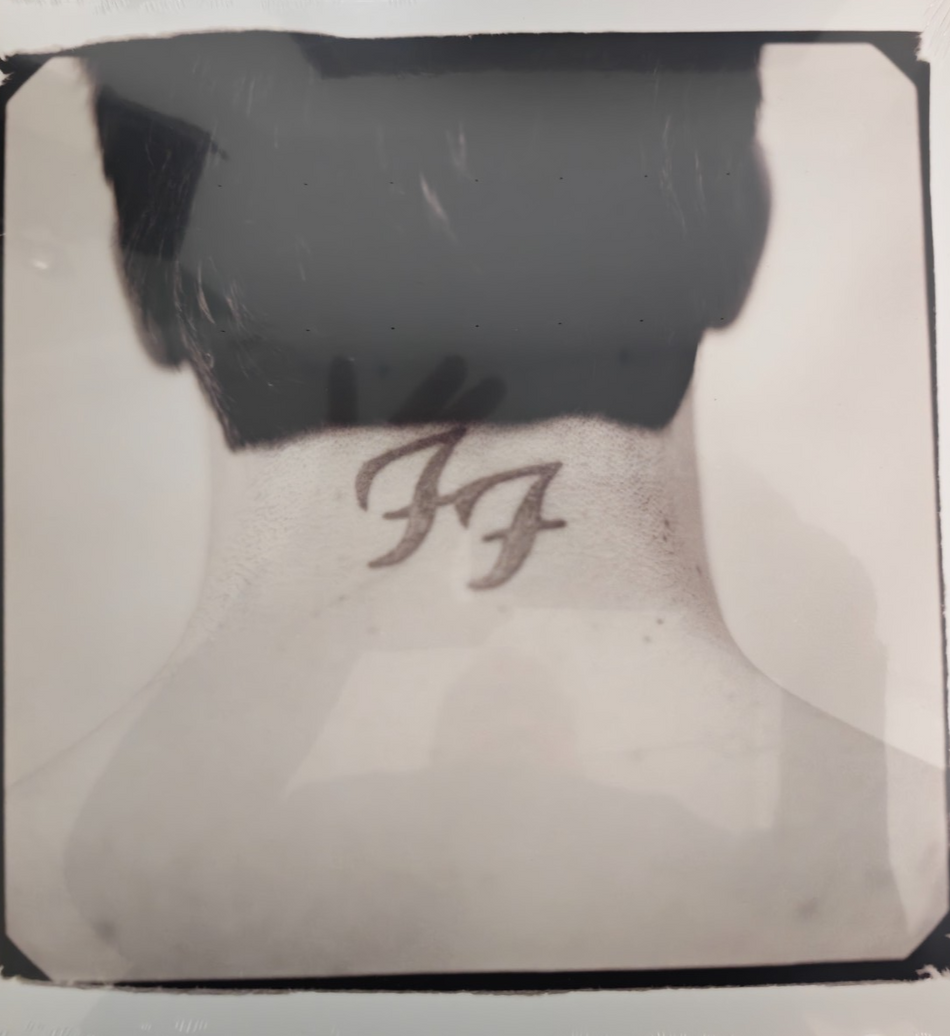 Foo Fighters There Is Nothing Left to loose LP Album vinyl record reissue 180g