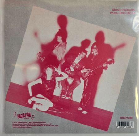 Destroy All Monsters – What Do I Get / Nobody Knows 7" vinyl record limited grey