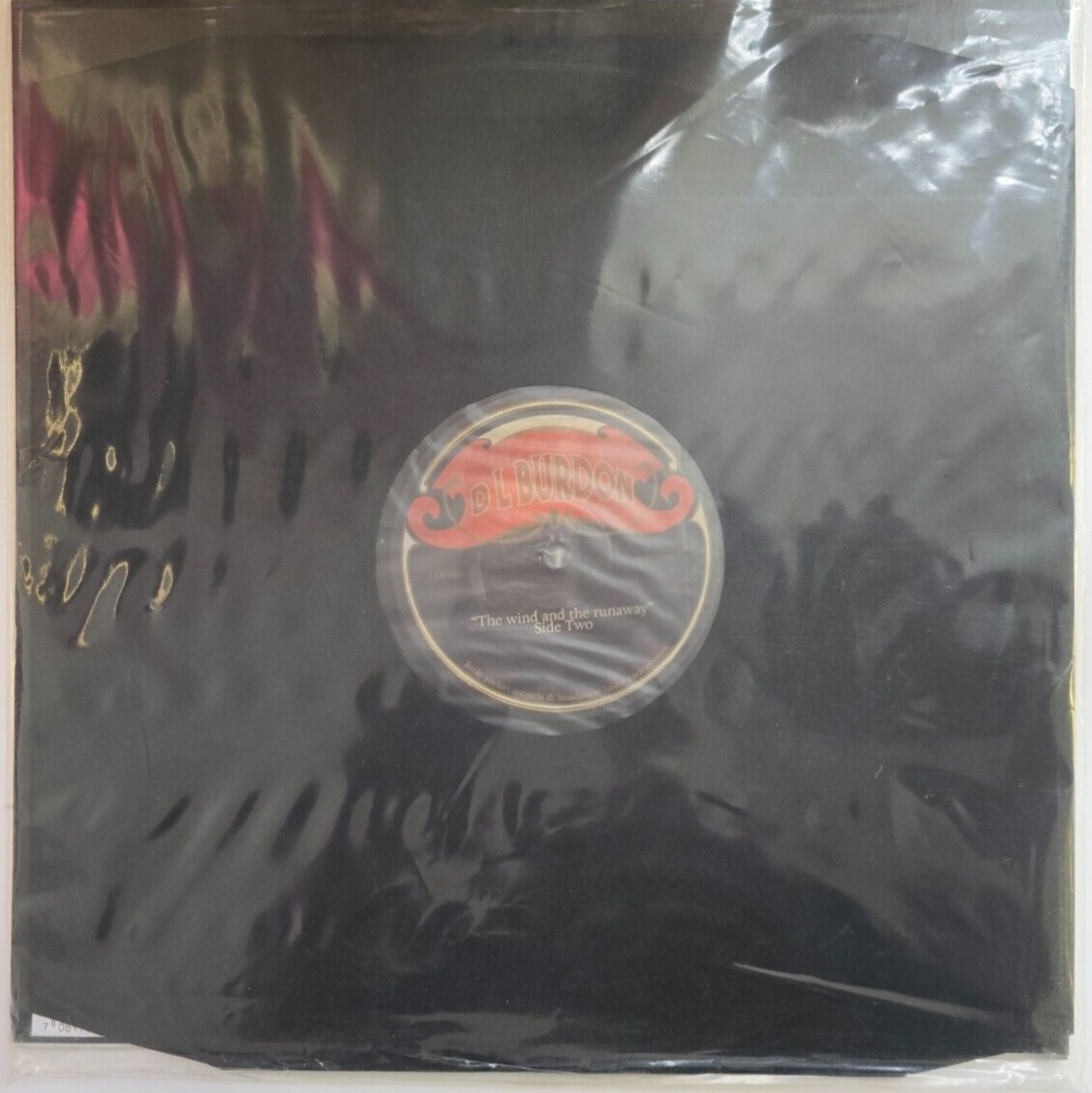 D L Burdon –The Wind And The Runaway LP Album vinyl record 2019 limited rock