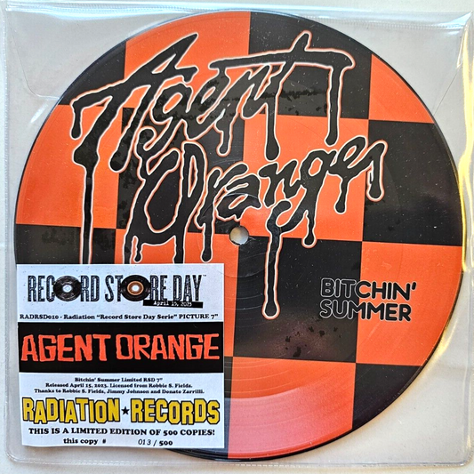 Agent Orange Bitchin' Summer limited 7" vinyl record picture disc RSD 2023