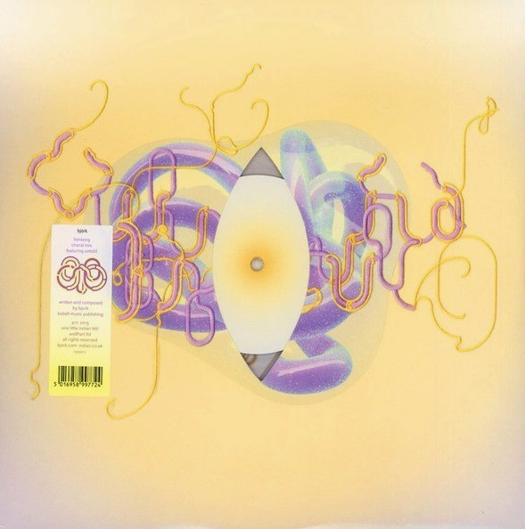 Bjork Lionsong 12" vinyl record limited clear etched single sided new 2015