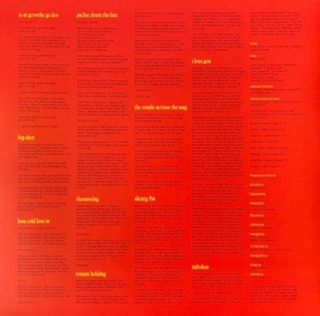 Fontaines D.C. Skinty Fia LP Album vinyl record 2022 on Partisan