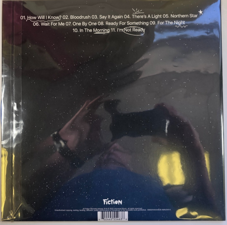 The Amazons How Will I Know If Heaven Will Find Me? LP Album vinyl