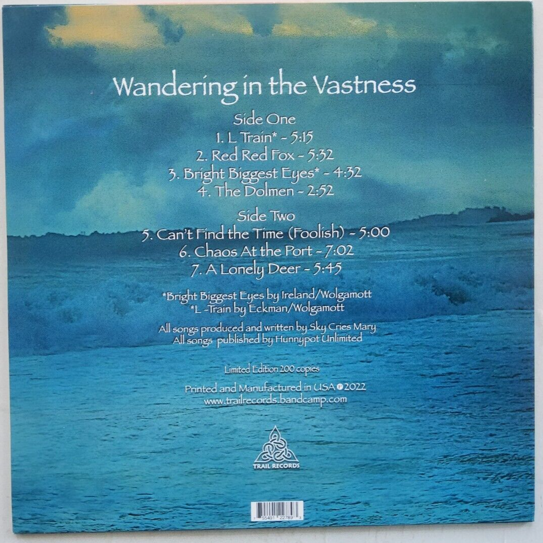 Sky Cries Mary Wandering In The Vastness 2022 LP Album vinyl record NM 180Gram