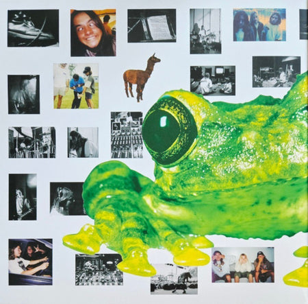 Silverchair Frogstomp LP Album vinyl record limited coloured remastered reissue