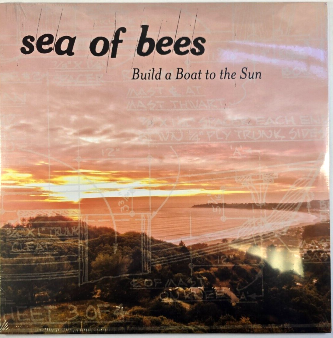 Sea Of Bees - Build A Boat To The Sun LP Album vinyl record 2015 indie rock