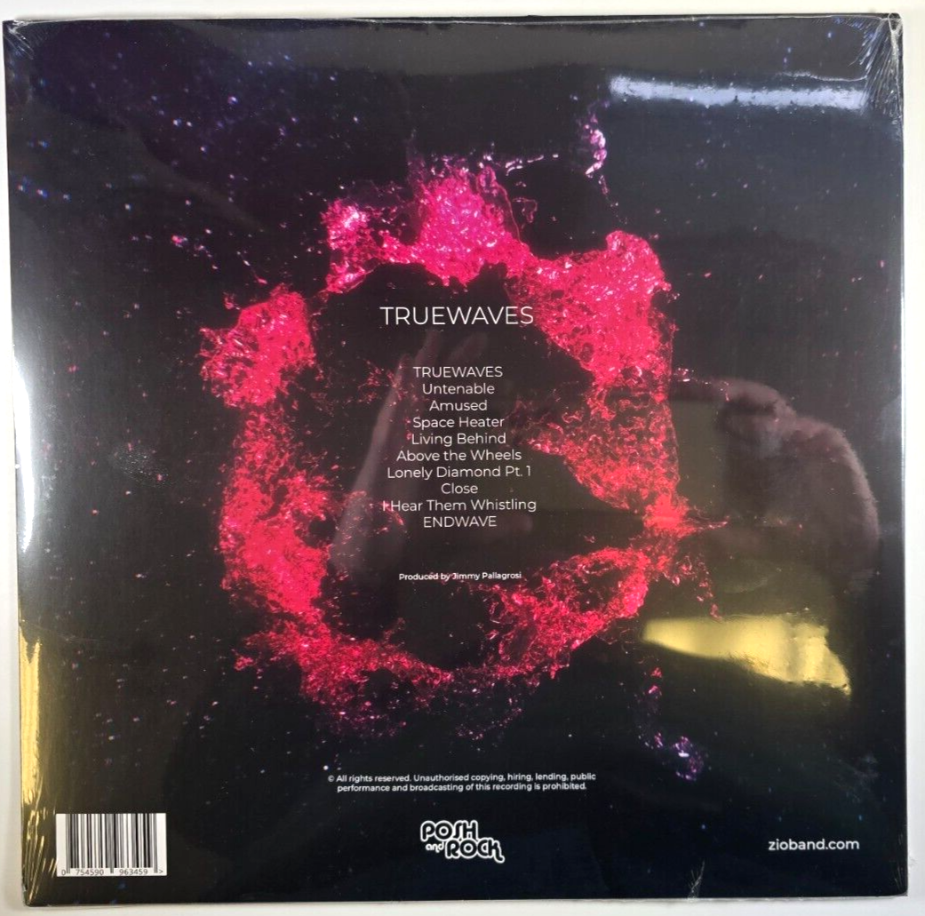 Zio Truewaves LP Album vinyl record 2023 Prog rock on Posh And Rock
