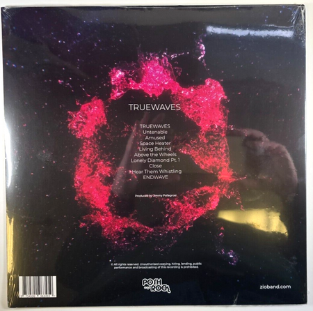 Zio Truewaves LP Album vinyl record 2023 Prog rock on Posh And Rock