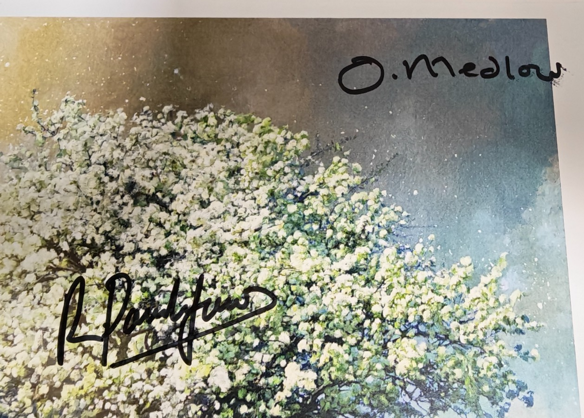 Albion Hand-Signed Photograph Authentic Autographs on size A4 print