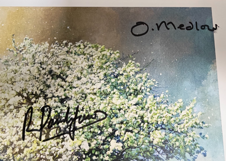 Albion Hand-Signed Photograph Authentic Autographs on size A4 print