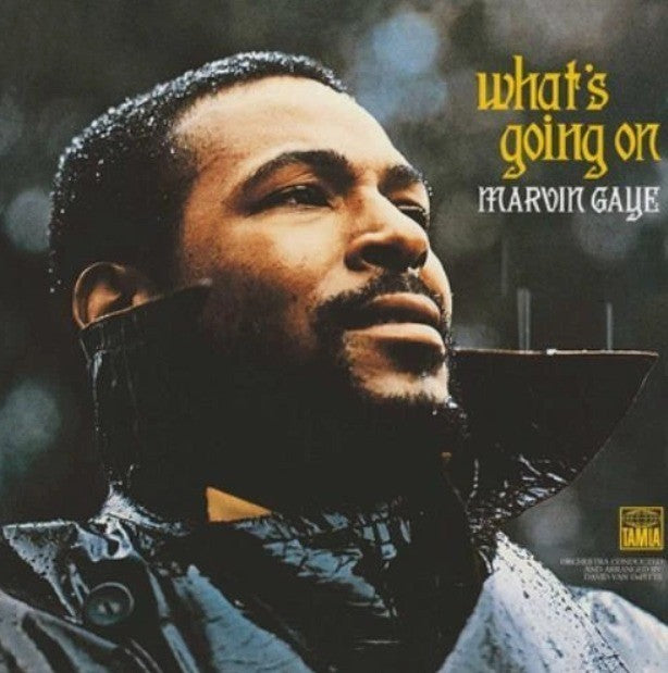 Marvin Gaye What's Going On LP Album vinyl record soul funk on Island