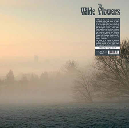 The Wilde Flowers The Wilde Flowers LP Album vinyl record remastered reissue