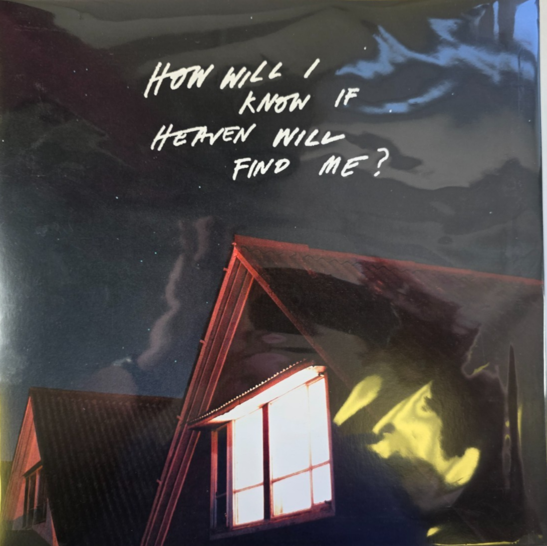 The Amazons How Will I Know If Heaven Will Find Me? LP Album vinyl