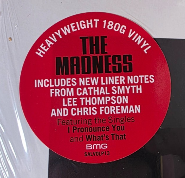The Madness The Madness  LP Album Vinyl Record 2022 reissue on Union Square