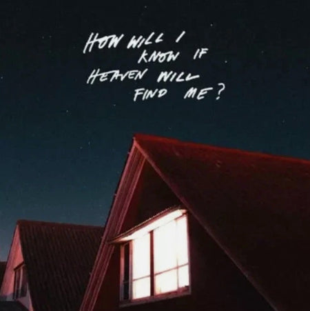 The Amazons How Will I Know If Heaven Will Find Me? LP Album vinyl