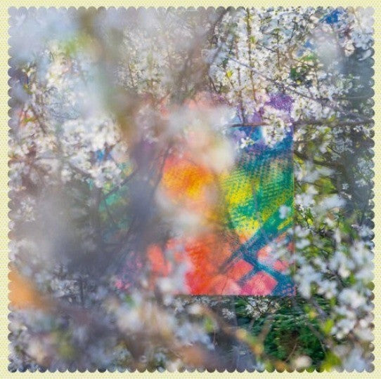 Four Tet Sixteen Oceans LP Album vinyl record remastered 2020 on Text records