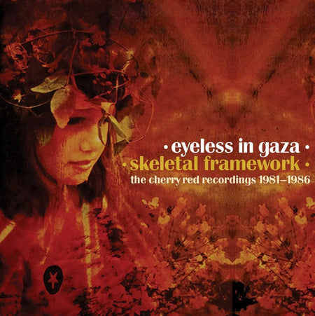 Eyeless In Gaza  Skeletal Framework Cherry Red Recordings 1981-1986 5 x CD Box
