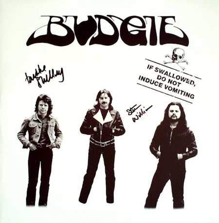Budgie If Swallowed Do Not Induce Vomiting 12" EP vinyl record 2016 Reissue
